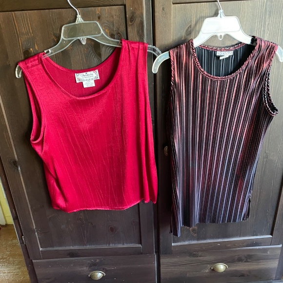 PRICE DROP! Shimmery, Stylish Tops for Fall /Holidays - Set of 2! - Picture 2 of 16